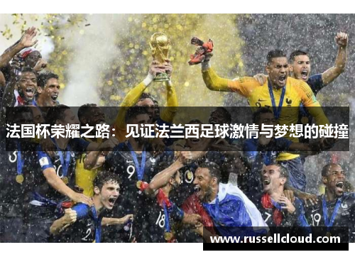 法国杯荣耀之路:见证法兰西足球激情与梦想的碰撞